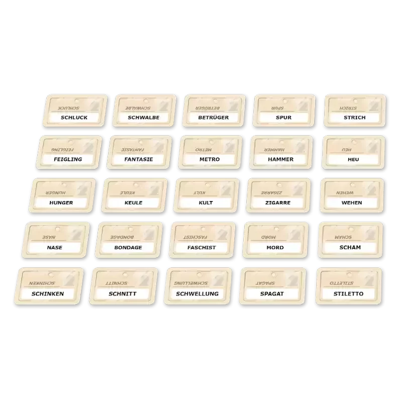 Codenames Undercover Spielaufbau