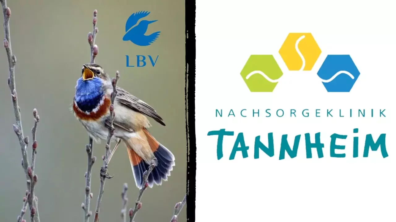 Logo vom LBV und Tannheim